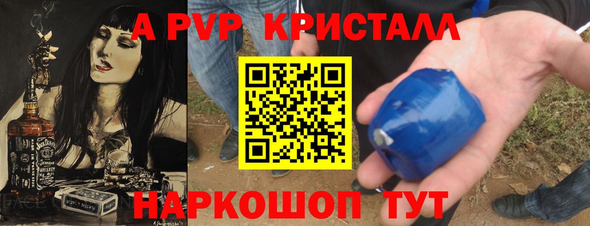Alfa_PVP СК КРИС Кизилюрт