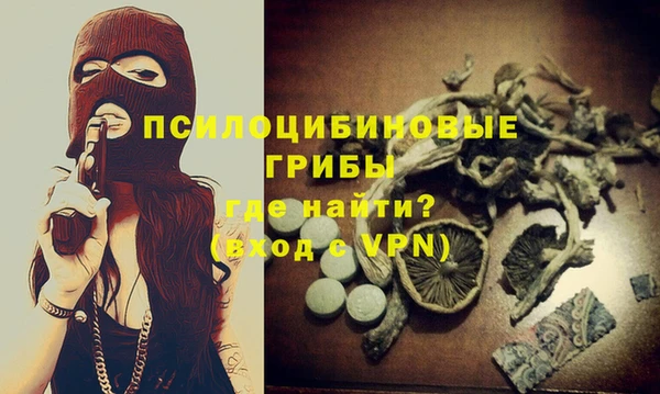 шишки Майский