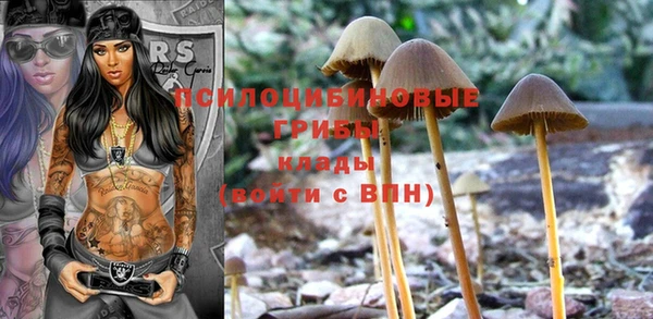 крисы Лихославль