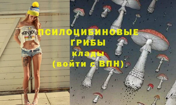 бошки Лиски