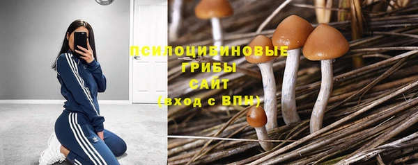 кокс Липки