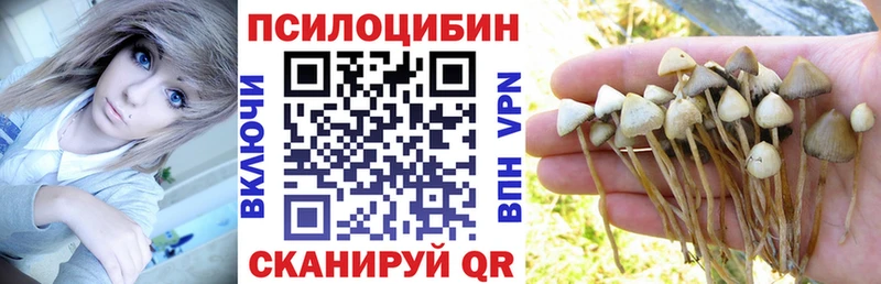 Галлюциногенные грибы мухоморы  где продают наркотики  Кизилюрт 