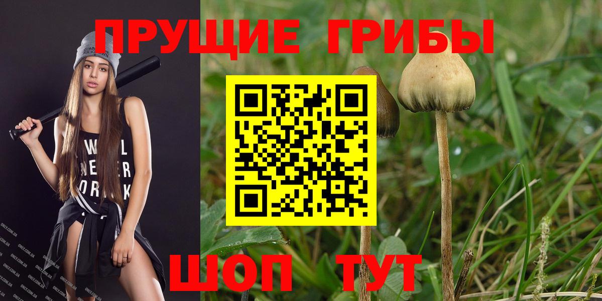 Псилоцибиновые грибы MAGIC MUSHROOMS Кизилюрт