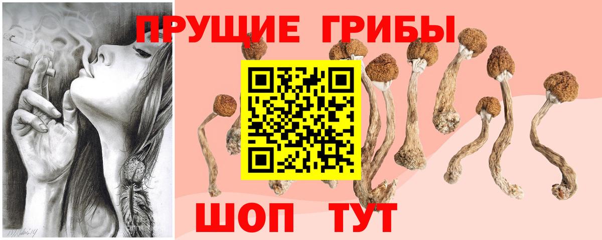 Галлюциногенные грибы мухоморы  Псилоцибиновые грибы Cubensis  Кизилюрт  Вход с VPN 